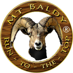 Mt Baldy run to the top